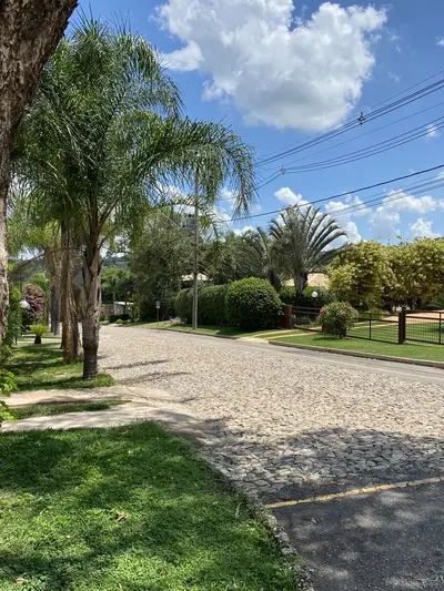 Rua interna com palmeiras e casas ao fundo