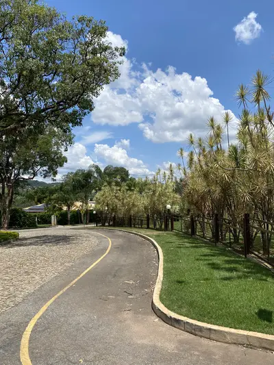 Via pavimentada com curva, paisagismo e árvores tropicais