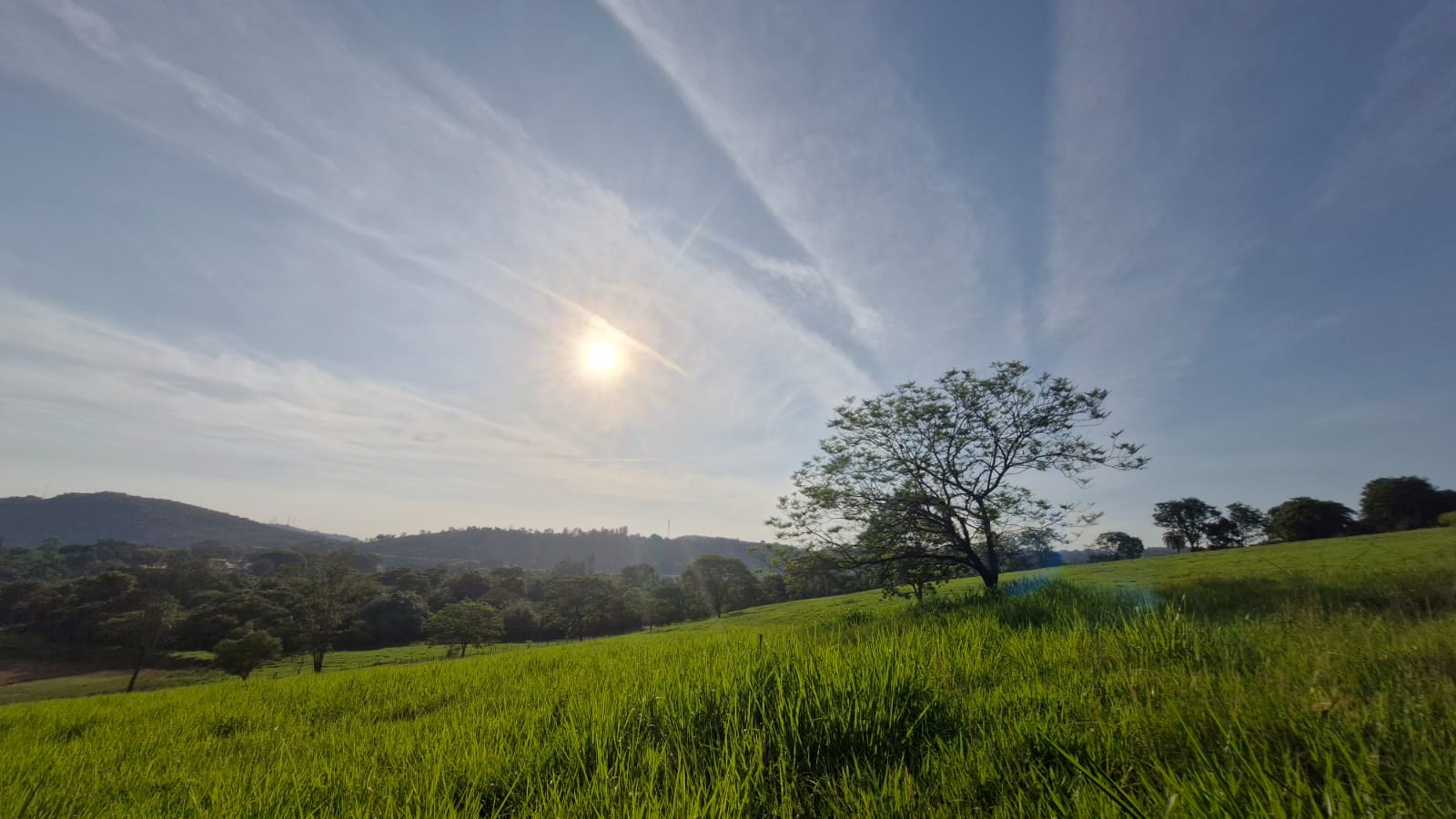 Colina verde com árvore solitária e sol entre nuvens