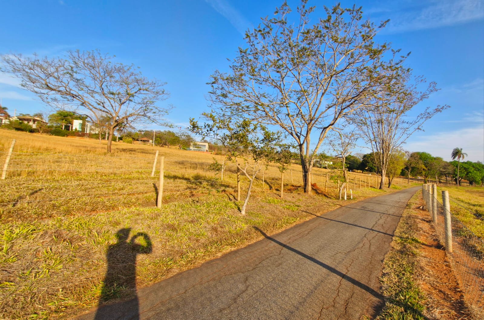Caminho pavimentado entre lotes com árvores e céu azul