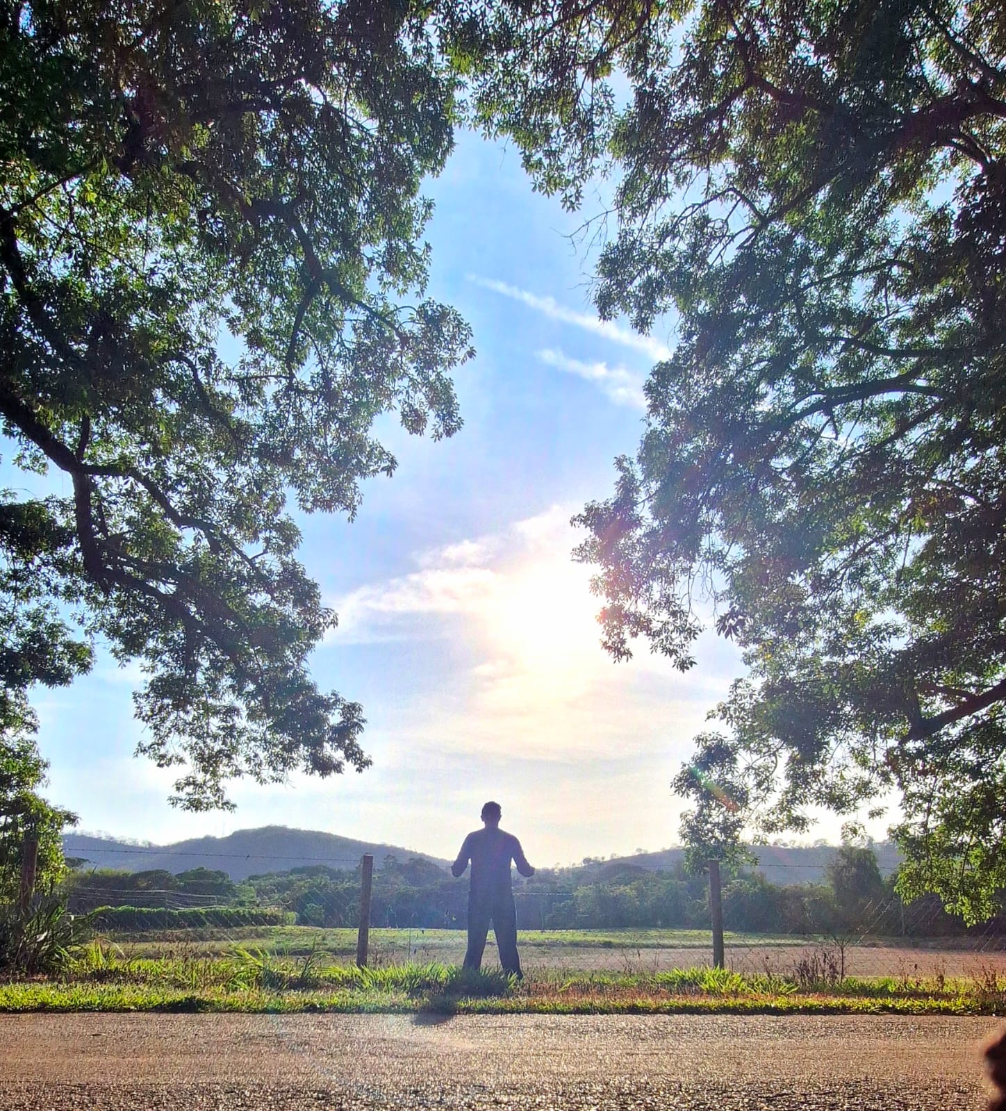 Silhueta de pessoa entre duas árvores contemplando o pôr do sol